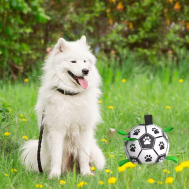 Pet Football Toy