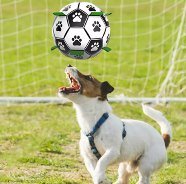 Pet Football Toy