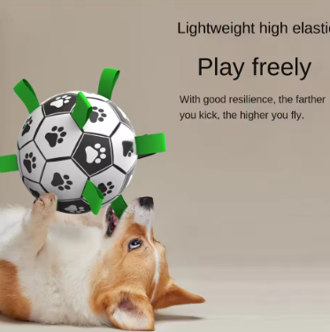 Pet Football Toy